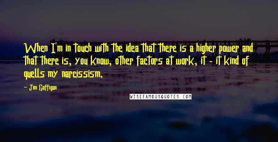 Jim Gaffigan Quotes: When I'm in touch with the idea that there is a higher power and that there is, you know, other factors at work, it - it kind of quells my narcissism.