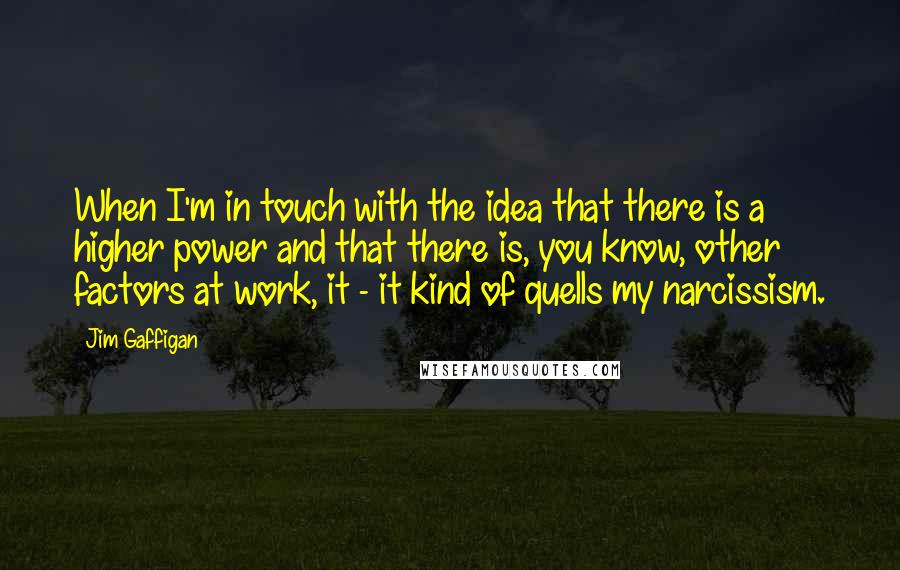 Jim Gaffigan Quotes: When I'm in touch with the idea that there is a higher power and that there is, you know, other factors at work, it - it kind of quells my narcissism.