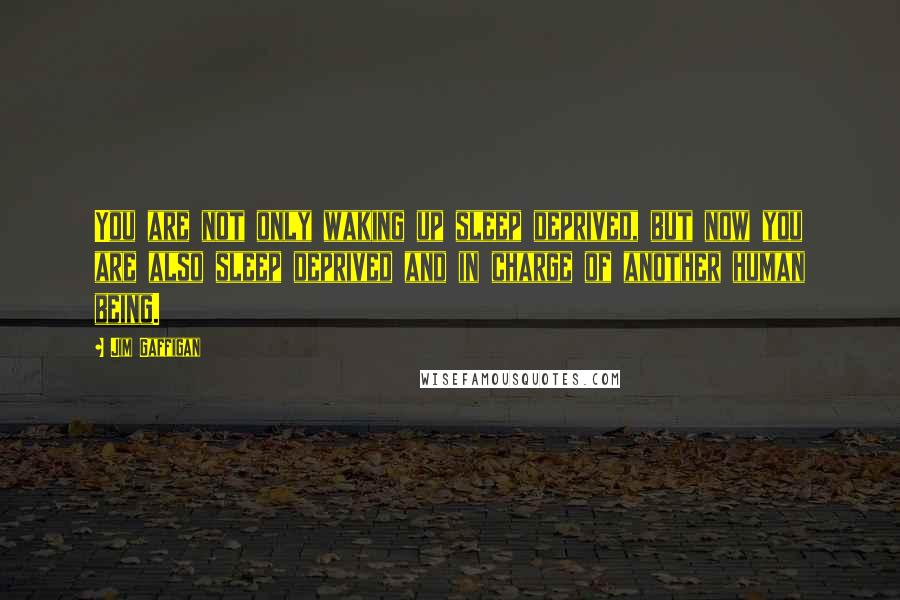 Jim Gaffigan Quotes: You are not only waking up sleep deprived, but now you are also sleep deprived and in charge of another human being.