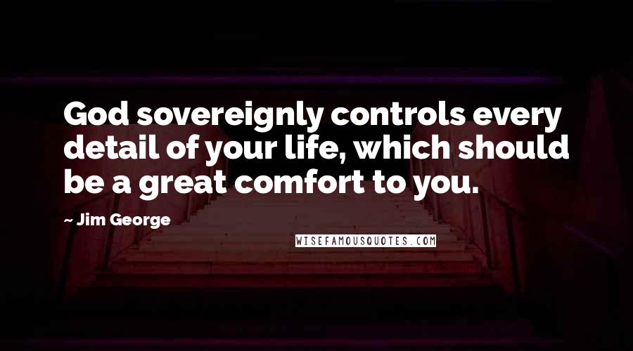 Jim George Quotes: God sovereignly controls every detail of your life, which should be a great comfort to you.