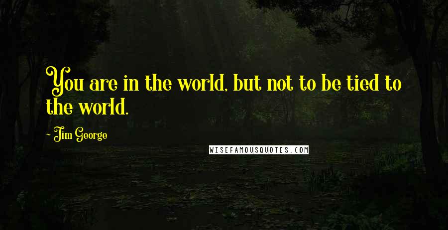 Jim George Quotes: You are in the world, but not to be tied to the world.