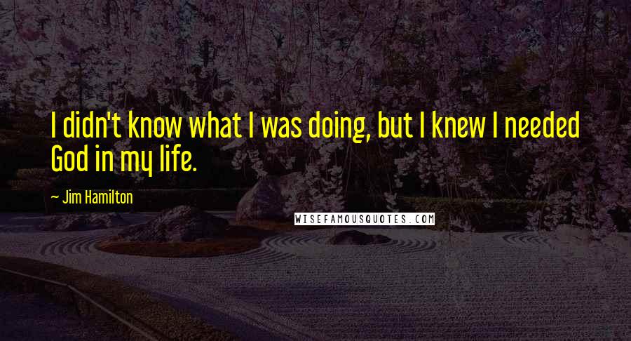 Jim Hamilton Quotes: I didn't know what I was doing, but I knew I needed God in my life.