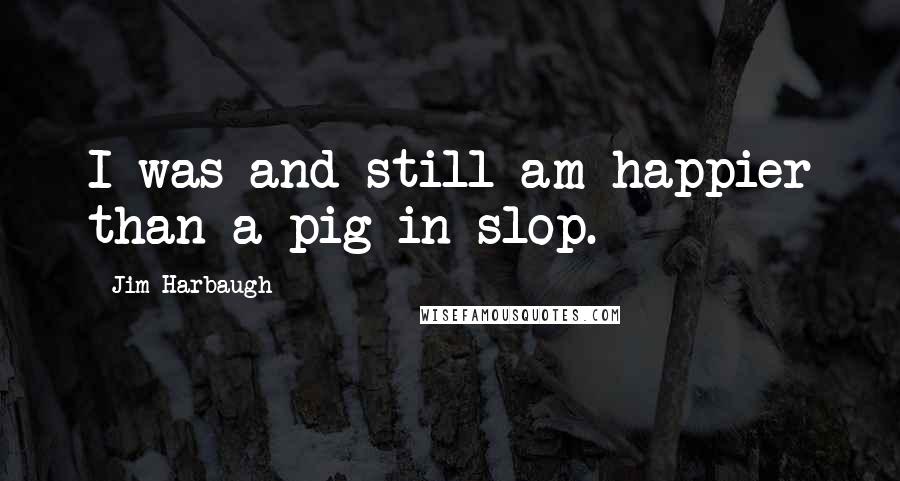 Jim Harbaugh Quotes: I was and still am happier than a pig in slop.