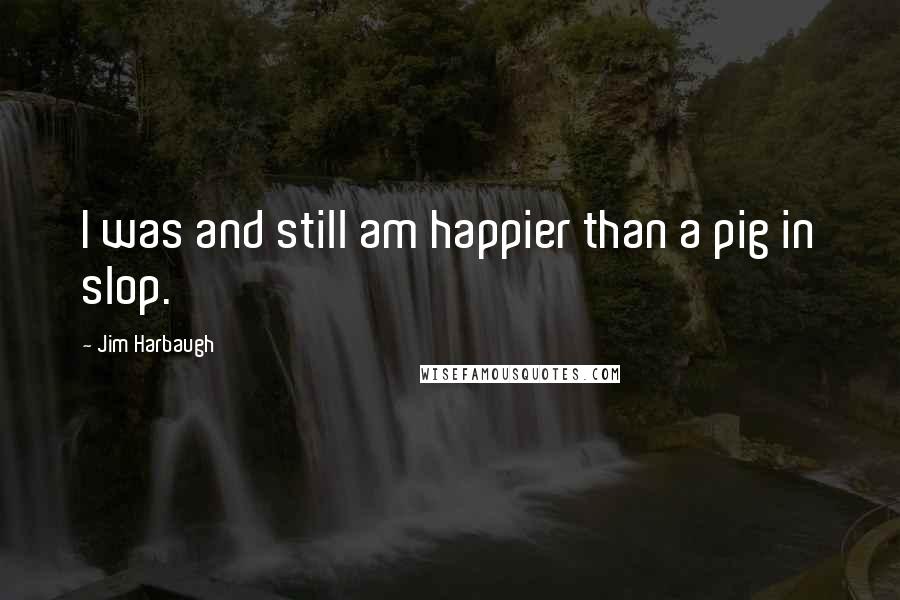 Jim Harbaugh Quotes: I was and still am happier than a pig in slop.