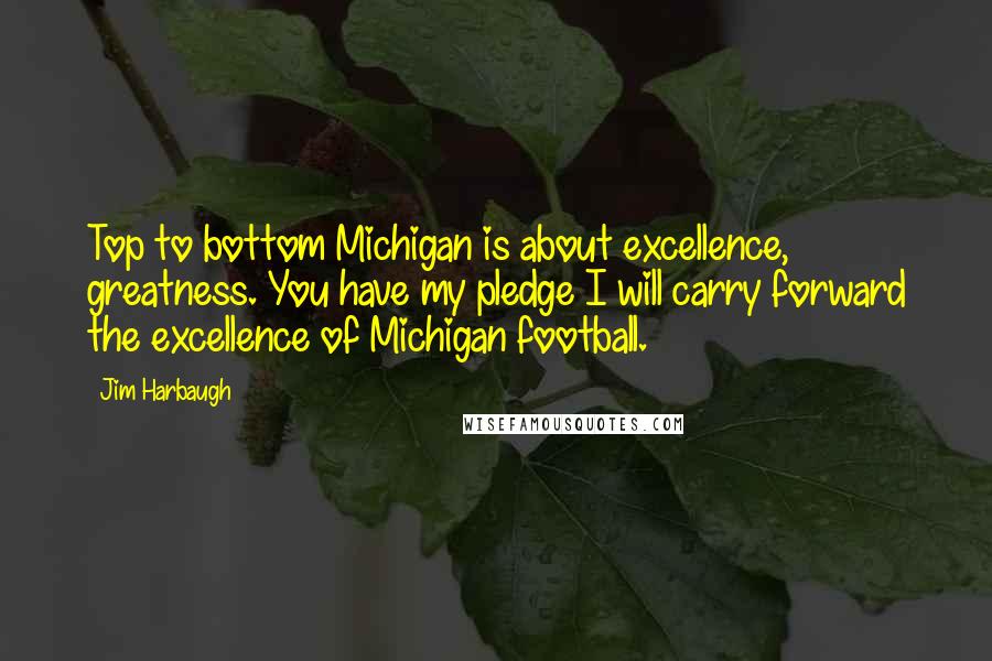 Jim Harbaugh Quotes: Top to bottom Michigan is about excellence, greatness. You have my pledge I will carry forward the excellence of Michigan football.