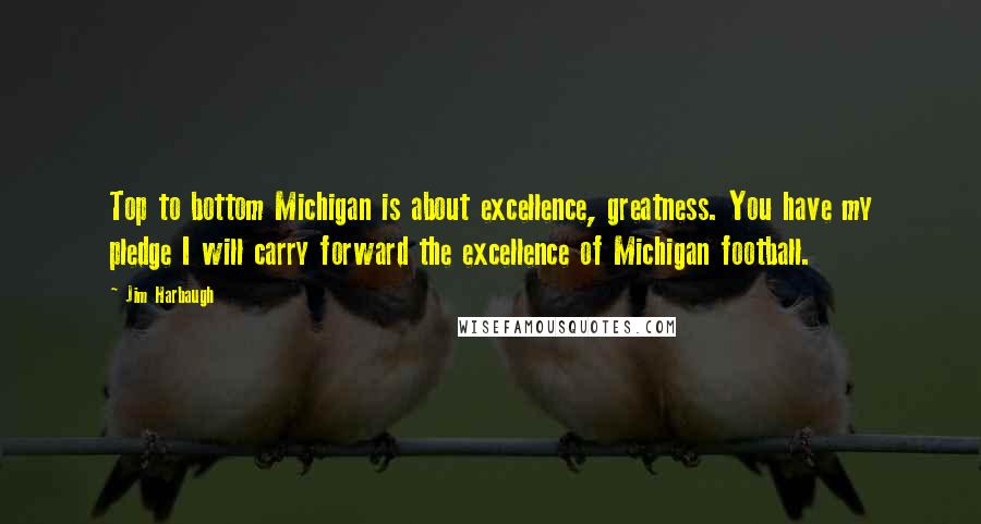 Jim Harbaugh Quotes: Top to bottom Michigan is about excellence, greatness. You have my pledge I will carry forward the excellence of Michigan football.