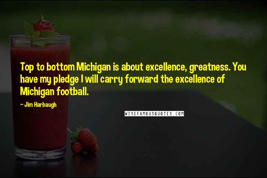 Jim Harbaugh Quotes: Top to bottom Michigan is about excellence, greatness. You have my pledge I will carry forward the excellence of Michigan football.