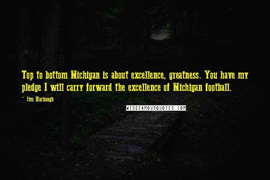 Jim Harbaugh Quotes: Top to bottom Michigan is about excellence, greatness. You have my pledge I will carry forward the excellence of Michigan football.
