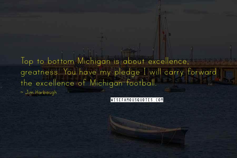 Jim Harbaugh Quotes: Top to bottom Michigan is about excellence, greatness. You have my pledge I will carry forward the excellence of Michigan football.