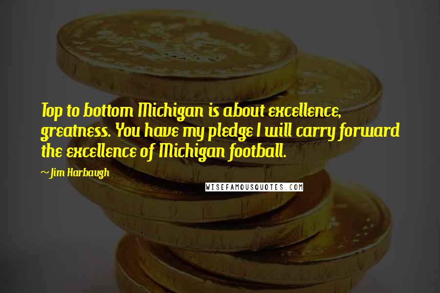 Jim Harbaugh Quotes: Top to bottom Michigan is about excellence, greatness. You have my pledge I will carry forward the excellence of Michigan football.