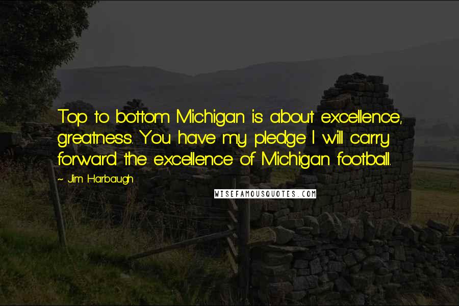 Jim Harbaugh Quotes: Top to bottom Michigan is about excellence, greatness. You have my pledge I will carry forward the excellence of Michigan football.