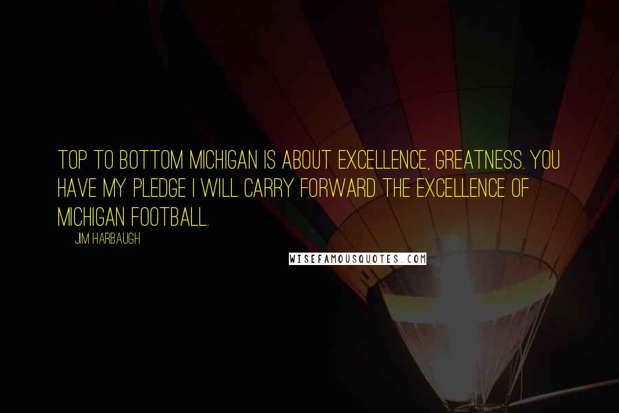 Jim Harbaugh Quotes: Top to bottom Michigan is about excellence, greatness. You have my pledge I will carry forward the excellence of Michigan football.