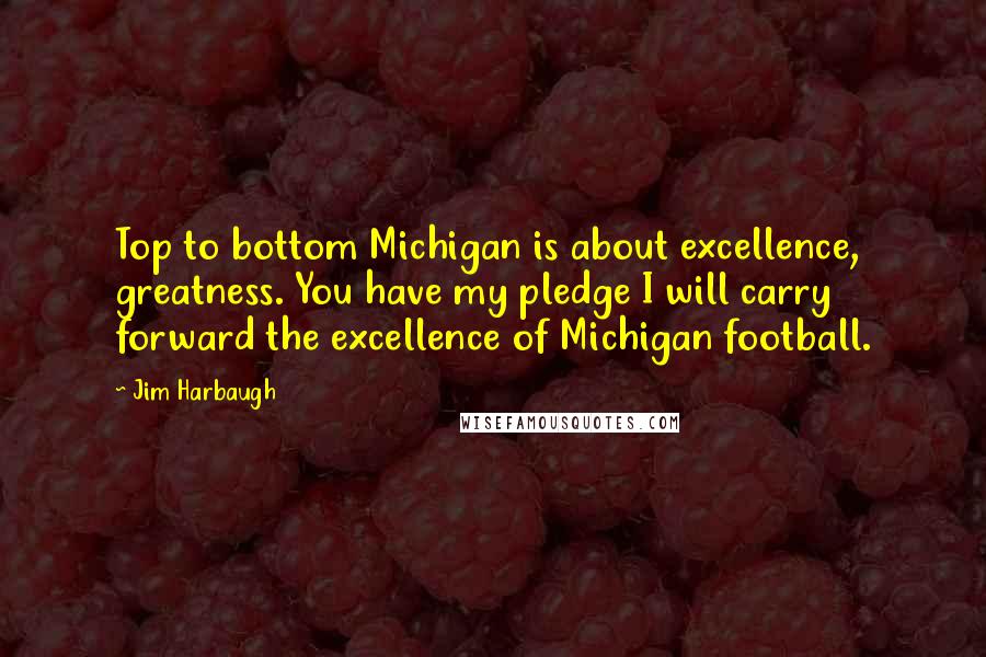 Jim Harbaugh Quotes: Top to bottom Michigan is about excellence, greatness. You have my pledge I will carry forward the excellence of Michigan football.
