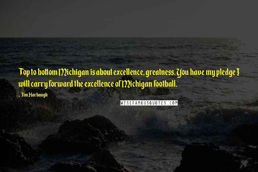 Jim Harbaugh Quotes: Top to bottom Michigan is about excellence, greatness. You have my pledge I will carry forward the excellence of Michigan football.
