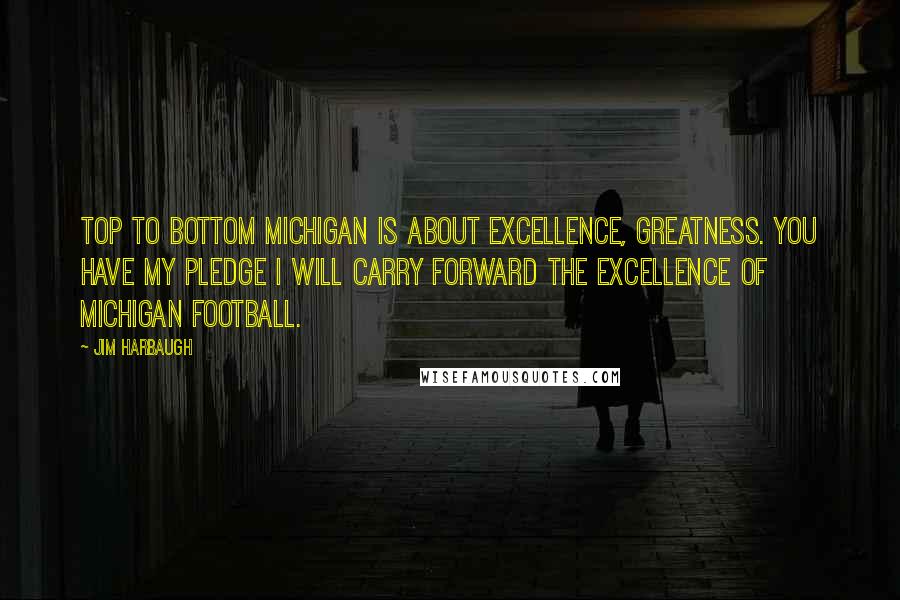 Jim Harbaugh Quotes: Top to bottom Michigan is about excellence, greatness. You have my pledge I will carry forward the excellence of Michigan football.
