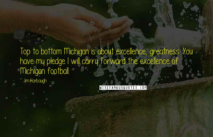 Jim Harbaugh Quotes: Top to bottom Michigan is about excellence, greatness. You have my pledge I will carry forward the excellence of Michigan football.