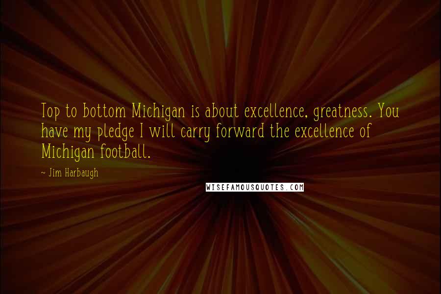 Jim Harbaugh Quotes: Top to bottom Michigan is about excellence, greatness. You have my pledge I will carry forward the excellence of Michigan football.