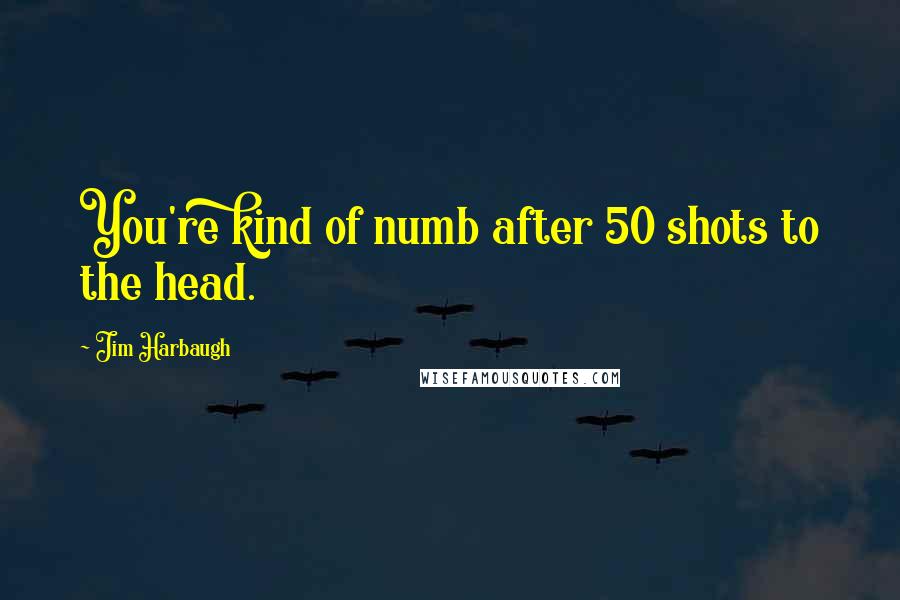 Jim Harbaugh Quotes: You're kind of numb after 50 shots to the head.