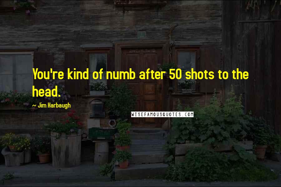 Jim Harbaugh Quotes: You're kind of numb after 50 shots to the head.