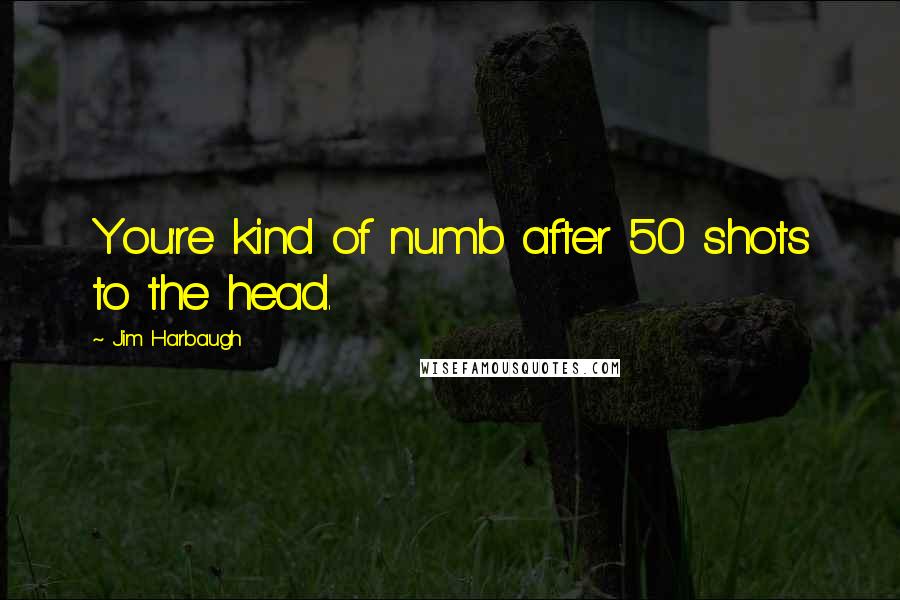 Jim Harbaugh Quotes: You're kind of numb after 50 shots to the head.