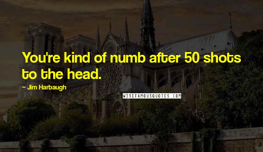 Jim Harbaugh Quotes: You're kind of numb after 50 shots to the head.