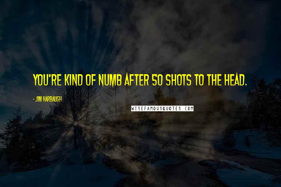 Jim Harbaugh Quotes: You're kind of numb after 50 shots to the head.