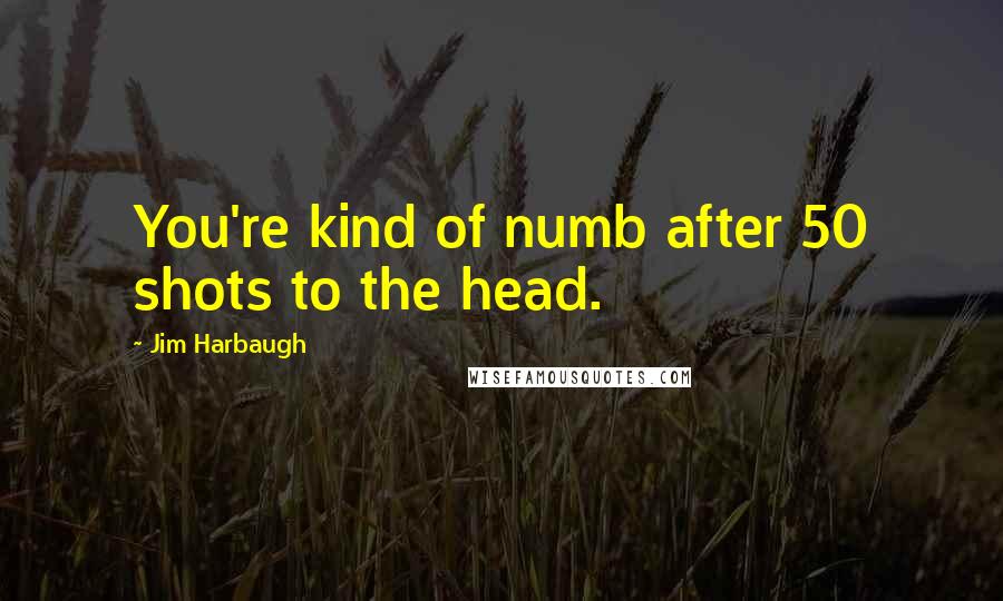 Jim Harbaugh Quotes: You're kind of numb after 50 shots to the head.