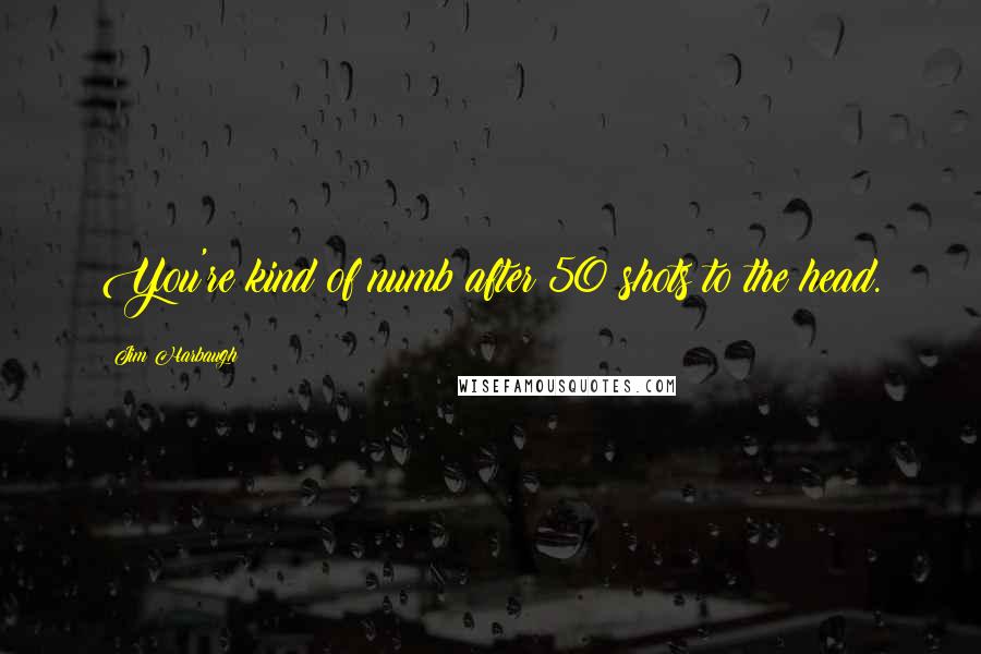 Jim Harbaugh Quotes: You're kind of numb after 50 shots to the head.