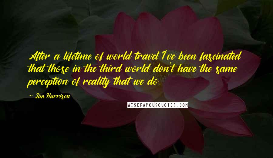 Jim Harrison Quotes: After a lifetime of world travel I've been fascinated that those in the third world don't have the same perception of reality that we do.