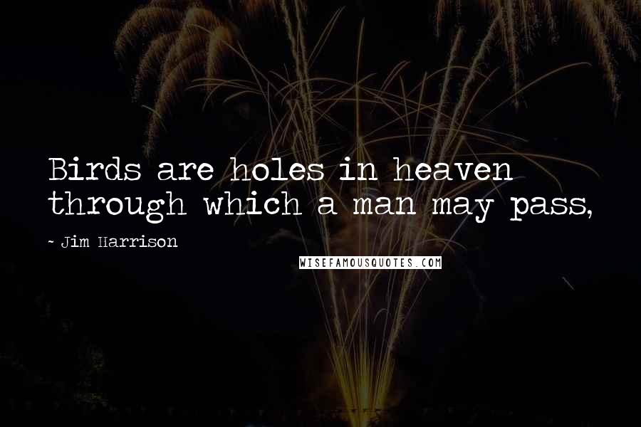 Jim Harrison Quotes: Birds are holes in heaven through which a man may pass,