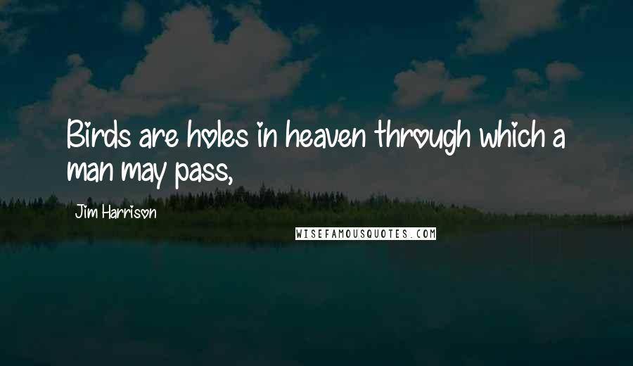 Jim Harrison Quotes: Birds are holes in heaven through which a man may pass,