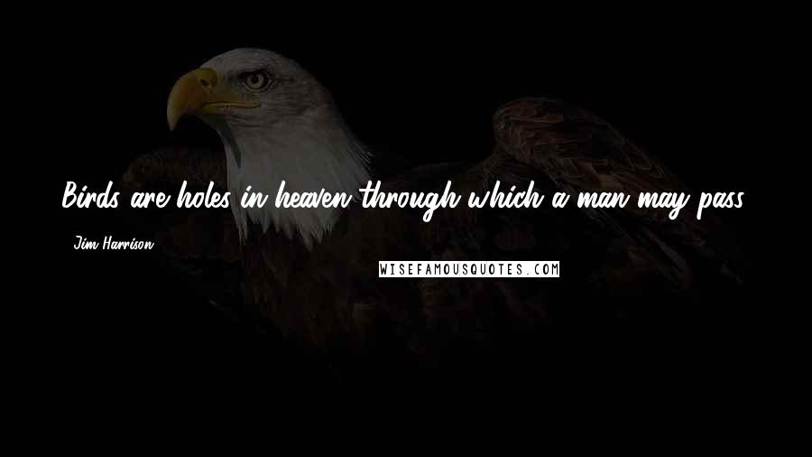 Jim Harrison Quotes: Birds are holes in heaven through which a man may pass,