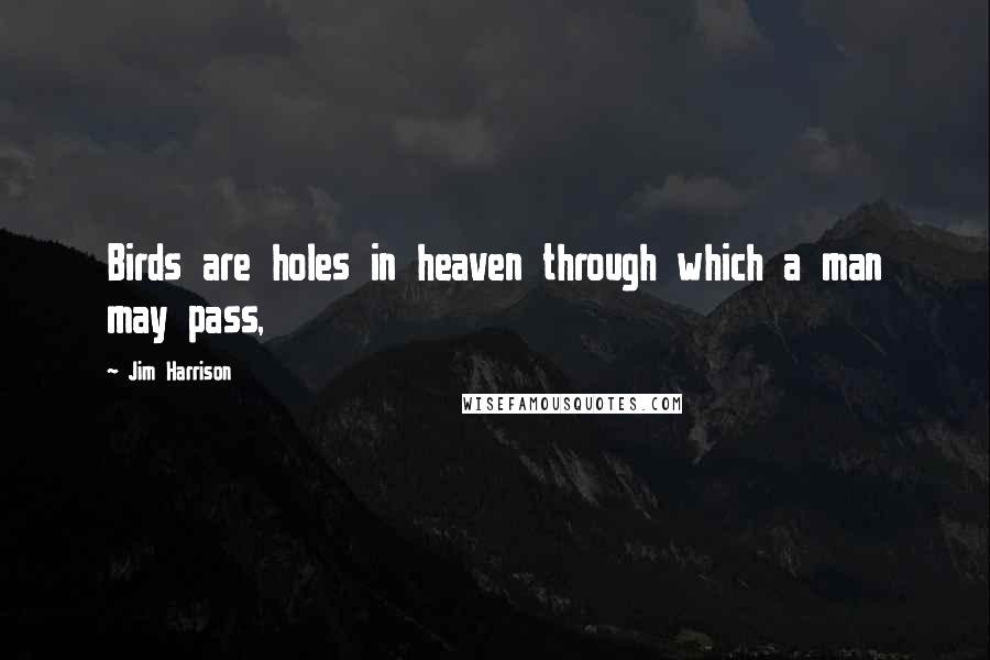 Jim Harrison Quotes: Birds are holes in heaven through which a man may pass,