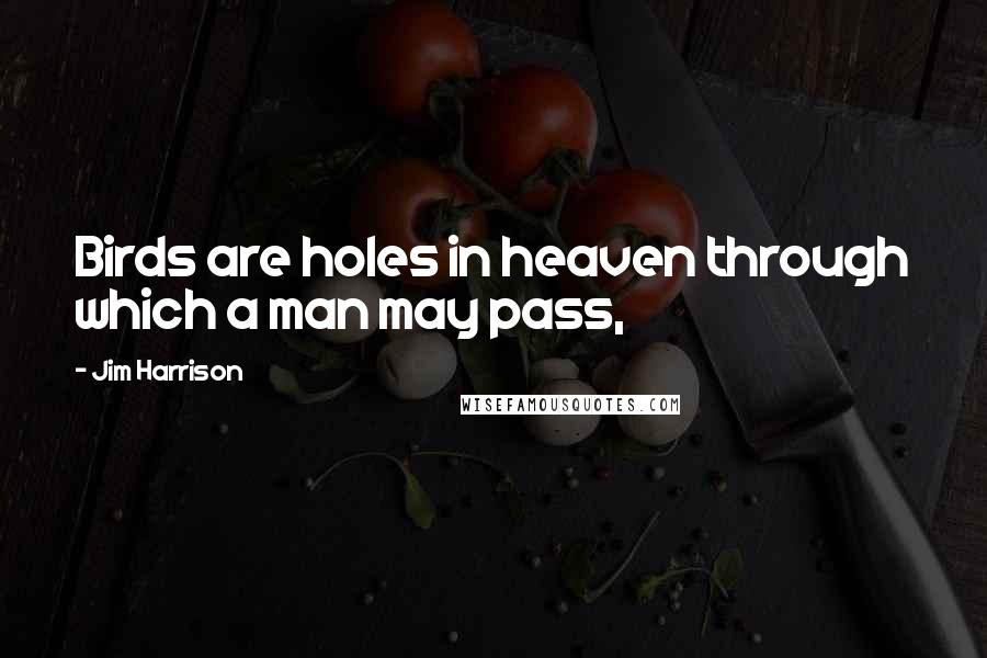 Jim Harrison Quotes: Birds are holes in heaven through which a man may pass,