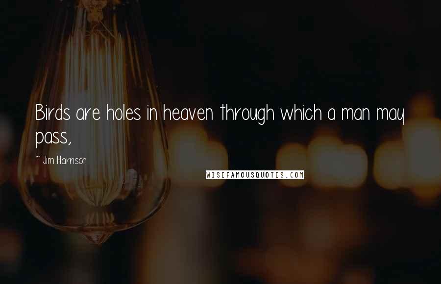 Jim Harrison Quotes: Birds are holes in heaven through which a man may pass,