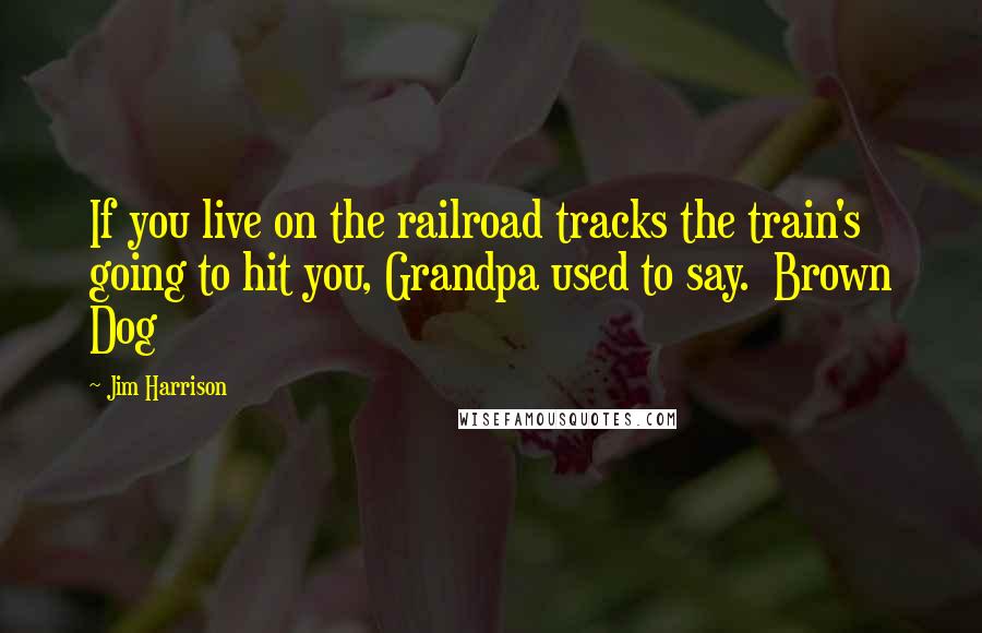 Jim Harrison Quotes: If you live on the railroad tracks the train's going to hit you, Grandpa used to say.  Brown Dog