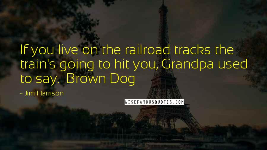 Jim Harrison Quotes: If you live on the railroad tracks the train's going to hit you, Grandpa used to say.  Brown Dog