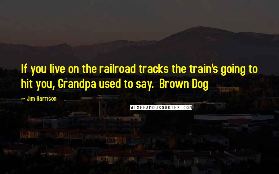 Jim Harrison Quotes: If you live on the railroad tracks the train's going to hit you, Grandpa used to say.  Brown Dog