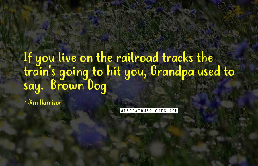 Jim Harrison Quotes: If you live on the railroad tracks the train's going to hit you, Grandpa used to say.  Brown Dog