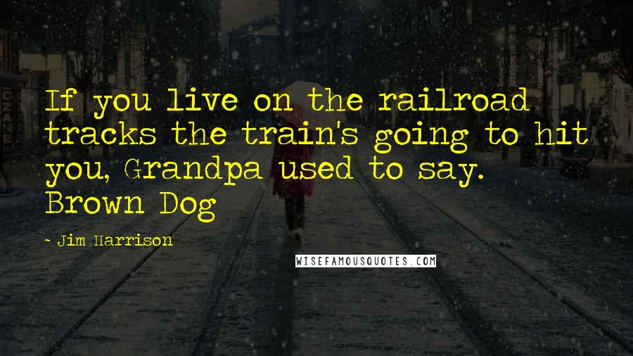 Jim Harrison Quotes: If you live on the railroad tracks the train's going to hit you, Grandpa used to say.  Brown Dog