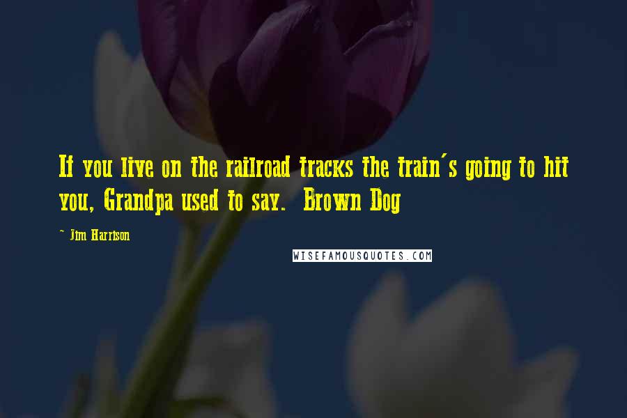 Jim Harrison Quotes: If you live on the railroad tracks the train's going to hit you, Grandpa used to say.  Brown Dog