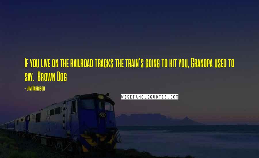 Jim Harrison Quotes: If you live on the railroad tracks the train's going to hit you, Grandpa used to say.  Brown Dog