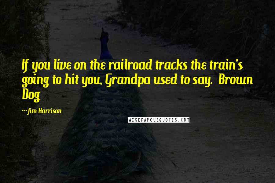 Jim Harrison Quotes: If you live on the railroad tracks the train's going to hit you, Grandpa used to say.  Brown Dog