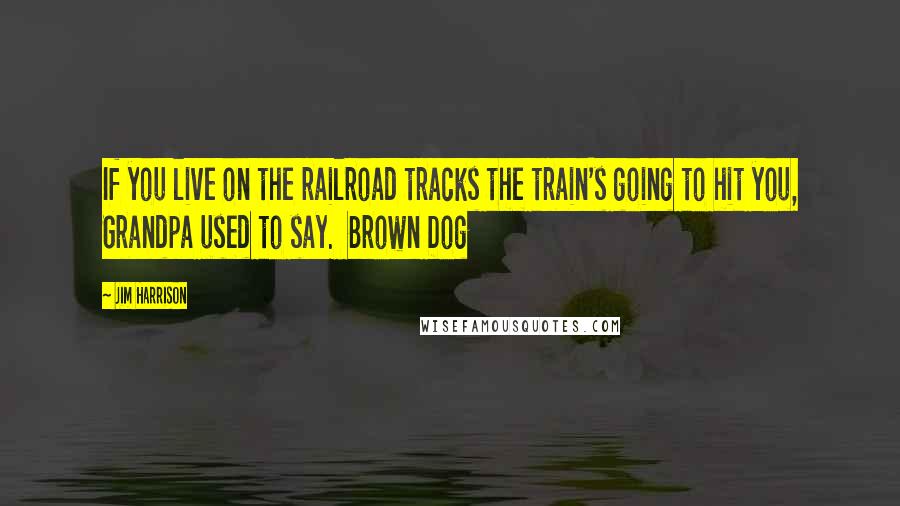 Jim Harrison Quotes: If you live on the railroad tracks the train's going to hit you, Grandpa used to say.  Brown Dog