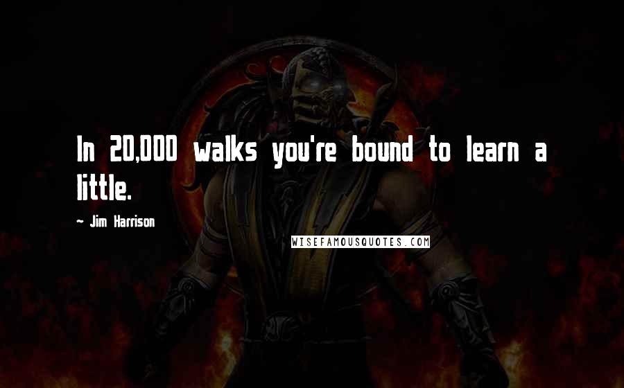 Jim Harrison Quotes: In 20,000 walks you're bound to learn a little.