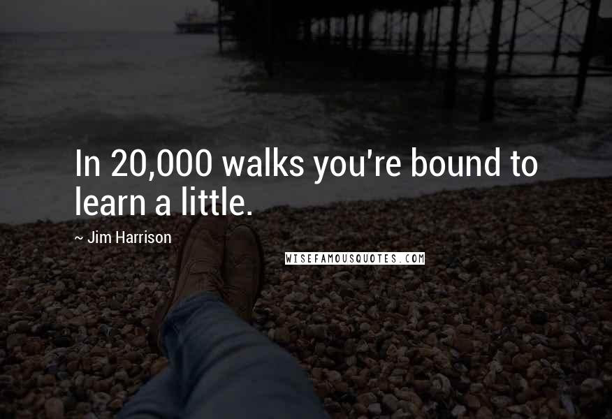 Jim Harrison Quotes: In 20,000 walks you're bound to learn a little.