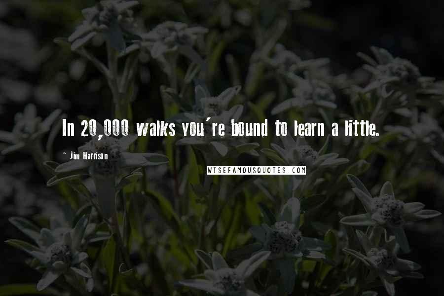 Jim Harrison Quotes: In 20,000 walks you're bound to learn a little.