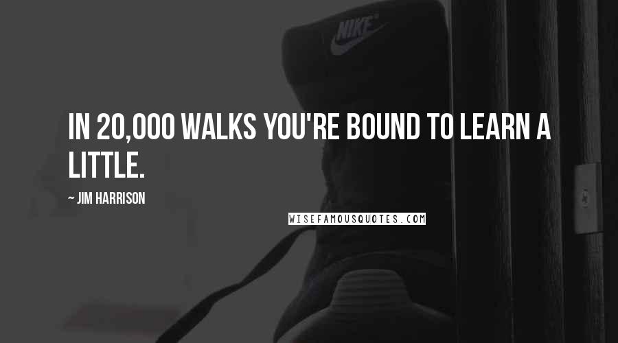 Jim Harrison Quotes: In 20,000 walks you're bound to learn a little.