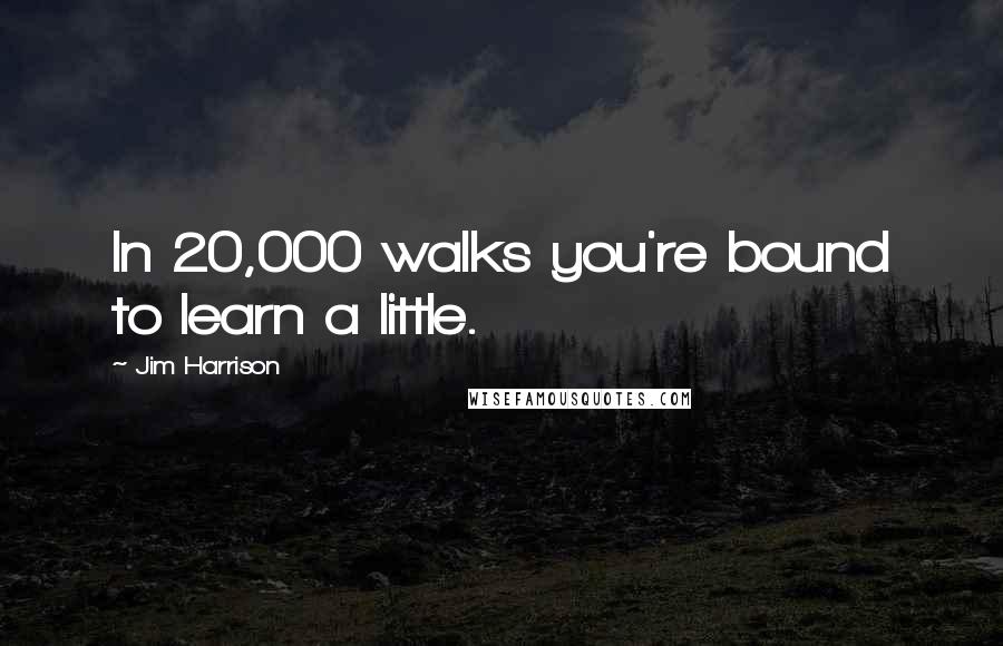 Jim Harrison Quotes: In 20,000 walks you're bound to learn a little.