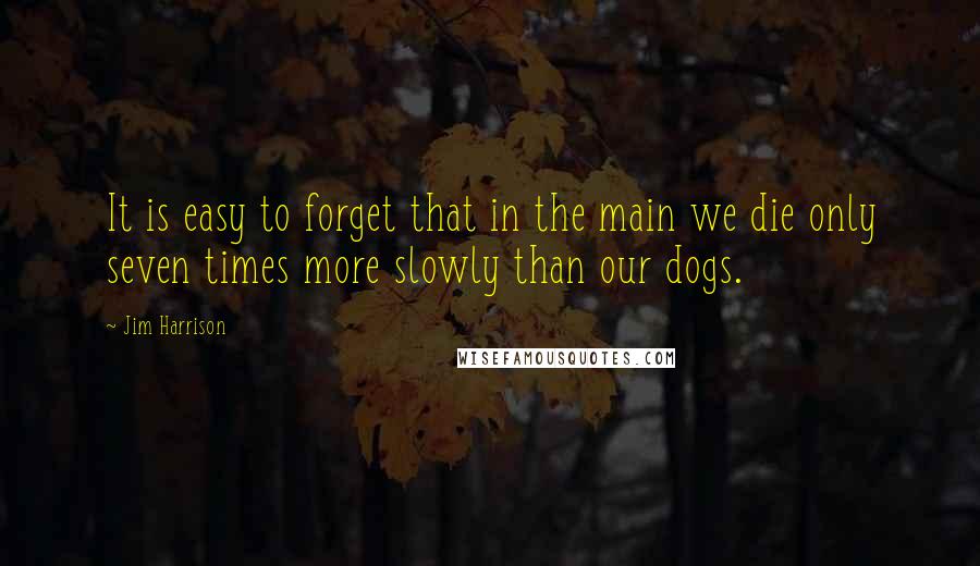 Jim Harrison Quotes: It is easy to forget that in the main we die only seven times more slowly than our dogs.